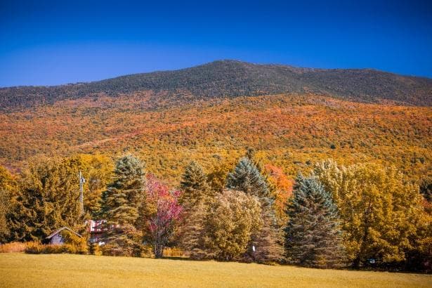 corporate retreat Berkshires Massachusetts